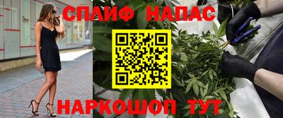 спиды Заволжье