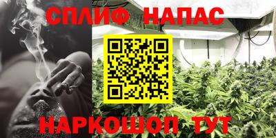 спиды Заволжье