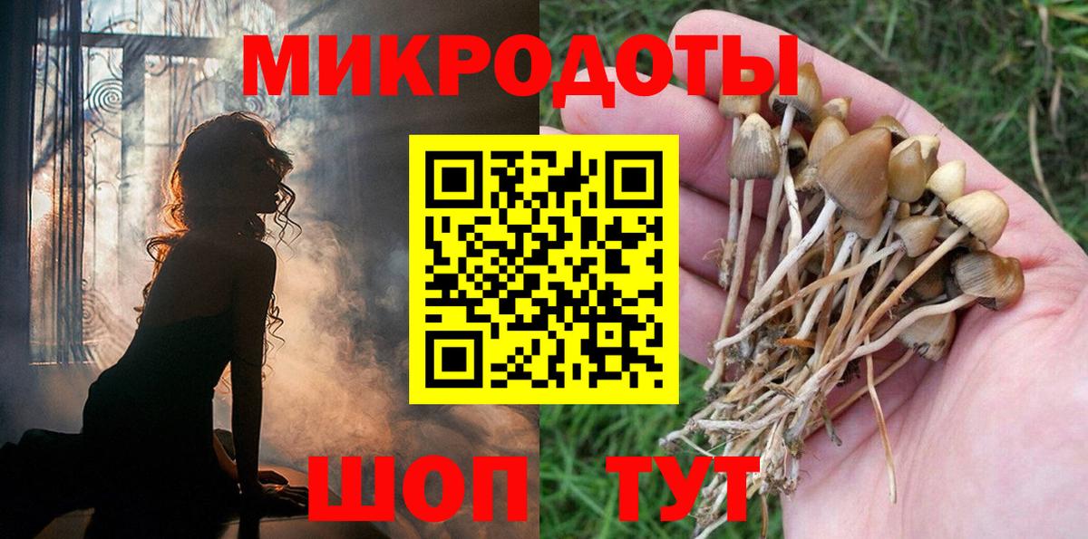 Псилоцибиновые грибы мухоморы Миасс