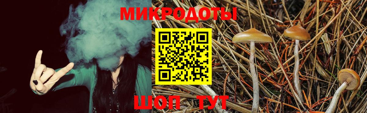 Миасс  Галлюциногенные грибы мицелий  Псилоцибиновые грибы Psilocybine cubensis  Вход с VPN 